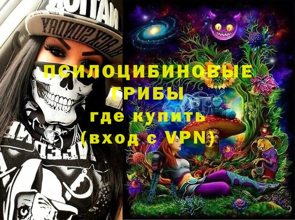 гашик Алексеевка