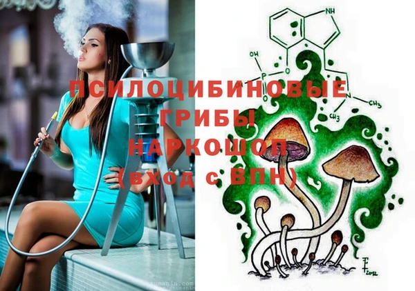 индика Абдулино