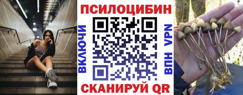 Галлюциногенные грибы Psilocybine cubensis  мега онион  Зерноград  как найти закладки 