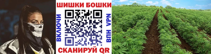 МАРИХУАНА сатива  как найти закладки  Зерноград 